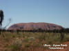 Kata Tjuta NP - Uluru z dialky